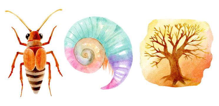 Prehistoric insect and shellfish and painting of tree on cave wall in jurassic peroid . Watercolor painting style . Illustration .