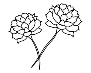 Bouquet of flowers outline vector