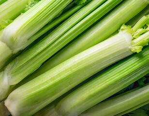 Obraz premium many stalks of celery close-up texture