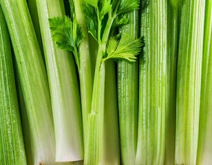 Fototapeta premium many stalks of celery close-up texture
