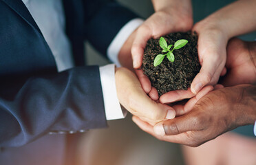 Business people, hands and plant growth for startup company for eco friendly, earth day or...
