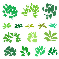 Green abstract texture plant elements good for brush strokes on a white background