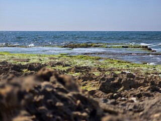 Sea after long-time winter