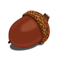 acorn © April29