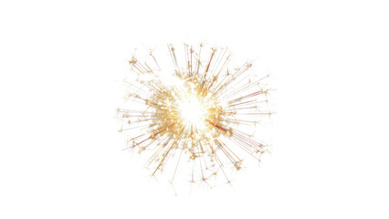 Fototapeta premium Abstract render of a fireworks flower.