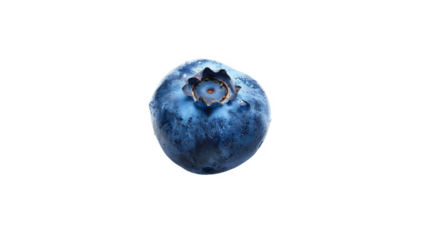 Close-up of a single shiny blueberry isolated on transparent background.