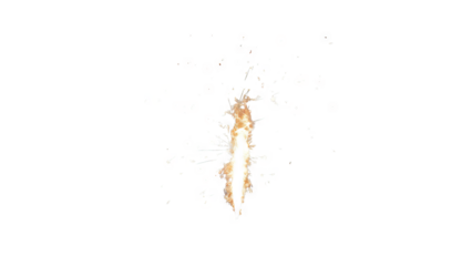 Firework with sparks isolated on black background.