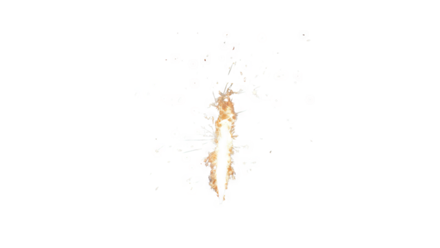 Firework with sparks isolated on black background.