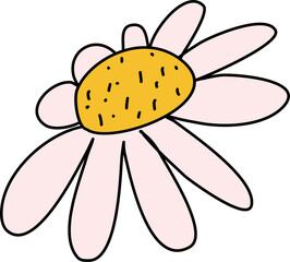 Summer flowers daisy 