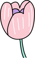 Tulip drawing vector