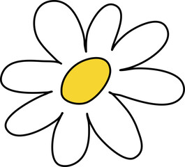 Summer flowers daisy 