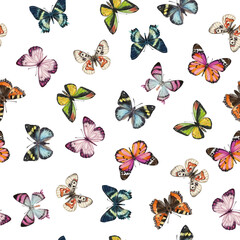 Cute butterflies hand drawn watercolor seamless pattern. Animalistic design raster texture. Beautiful  creatures wallpaper design