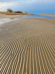 sand dunes on the beach