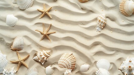Top view of a sandy beach texture with imprints of exotic seashells and starfish as natural textured background : Generative AI