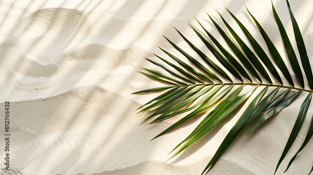 Poster aesthetic palm leaf on shadow on sand background texture copy space minimal summer concept : generat