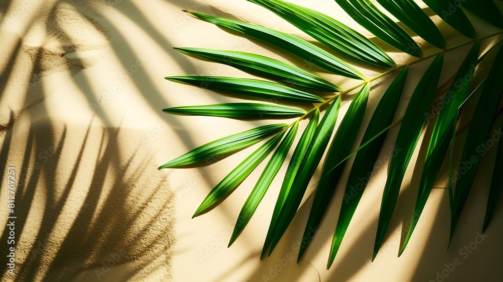 Aufkleber Top view of green tropical leaf shadow on sand color background Flat lay Minimal summer concept with palm tree leaf Creative copyspace : Generative AI