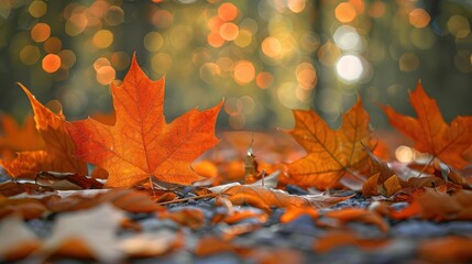 Orange maple leaves on the ground with a bokeh effect defocused background - Powered by Adobe