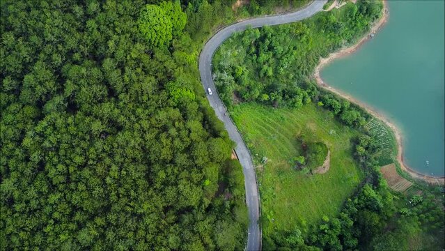 Car driving along a dirt road in a dense pine forest. Arial follow footage 4K.