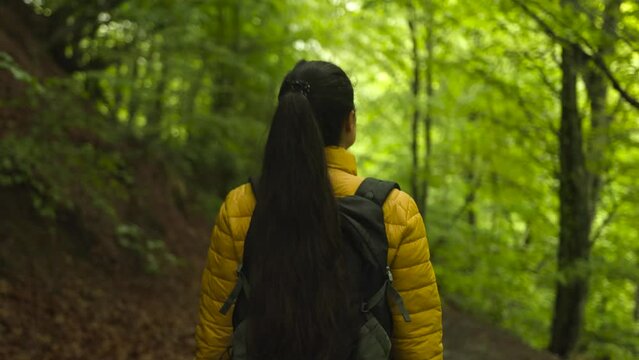 Slow motion camera follows active young brunette woman hiker in yellow jacket with backpack. Girl walking and enjoying outdoors nature in green forest in late spring season.