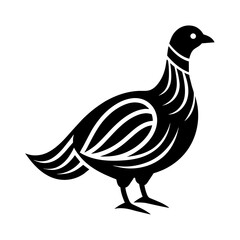 a bird  isolated on white