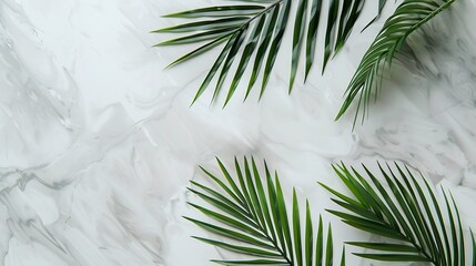 Summer composition Tropical palm leaves marble paper blank on pastel gray background Summer concept Flat lay top view copy space : Generative AI