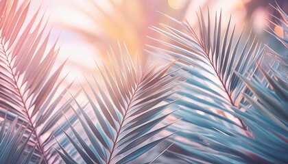 abstract background in pastel colors with palm tree leaves