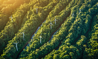 Aerial view capturing wind turbines in lush green forest, sunlight illuminating landscape, symbol of sustainable energy and environmental conservation