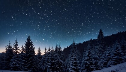 night forest with pine trees dark night sky and many stars night forest landscape