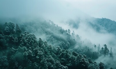 misty mountain scene greets us, with layers of peaks fading into the hazy distance. Closer by, a thick blanket of fog drapes over the lush evergreen forest covering the slopes. 