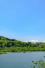 白川湖 青空と残雪と新緑の水没林

