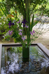 東京赤坂の氷川神社にある手水舎の生け花
