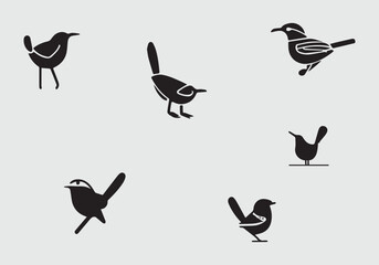 minimal Cactus Wren black icon illustration design