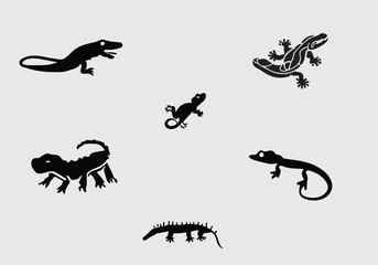 minimal Caiman Lizard black icon illustration design