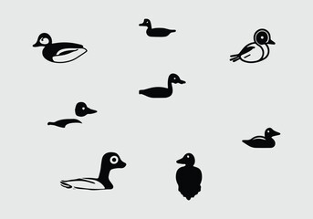 minimal style Common Goldeneye icon illustration design