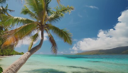 palm tree on a tropical beach in the south seas