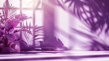 Abstract purple studio background for product presentation Empty room with shadows of window and flowers and palm leaves  3d room with copy space Summer concert Blurred backdrop : Generative AI