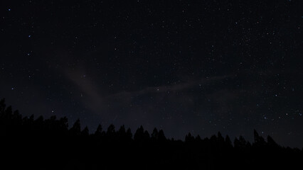 Naklejka premium 北極光の舞台