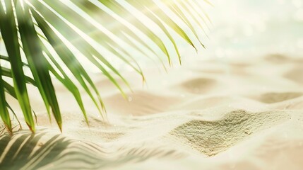 Summer Banner  Sunny Sand With Palm Leaves In Tropical Beach : Generative AI