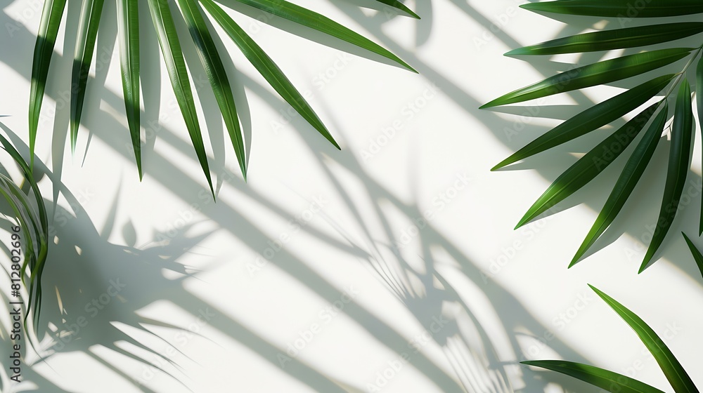 Poster trendy summer layout made with bamboo card note on white background exotic shadow concept with copy 