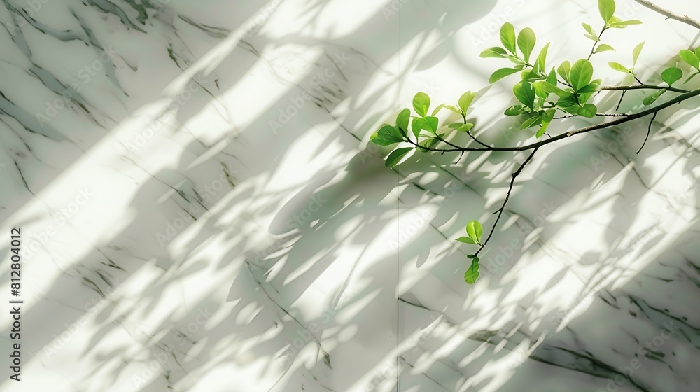 Poster spring sunlight in green branch of tree with shadow on white marble tile wall wood table copy space 