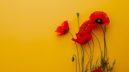 Red poppies flower on yellow background Bouquet of red poppy Common poppy yellow layout Bunch of red flowers Card frame boarder Papaver rhoeas layout copy space  Minimal aesthetic : Generative AI