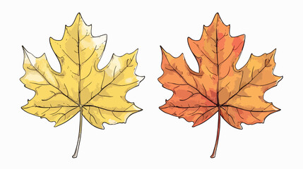 Chinese yellow maple leaf vector illustration in sk