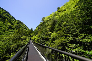 新緑の森を行く　みたらい渓谷みたらい橋