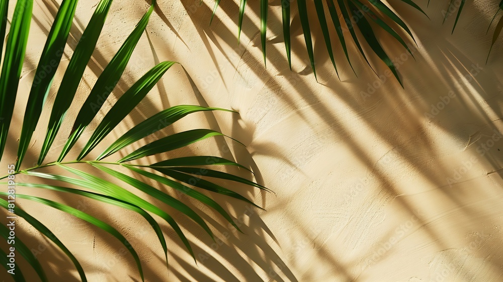Poster Top view of green tropical leaf shadow on sand color background Flat lay Minimal summer concept with palm tree leaf Creative copyspace : Generative AI