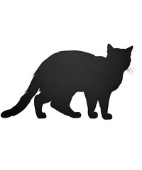 silhouette of a cat