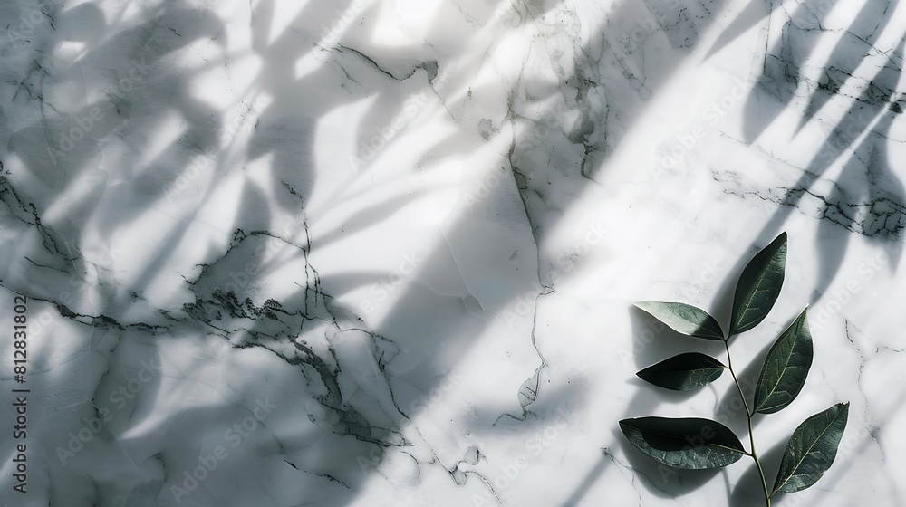 Aufkleber Abstract empty marble board with shadows leaves on a gray background Layout concept for promotional product presentation sale or cosmetics display Front view and copy space : Generative AI
