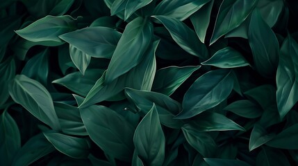 Dark green leaves background Minimal neutral aesthetic Tropical plant art texture Botanical tropic garden creative layout banner : Generative AI