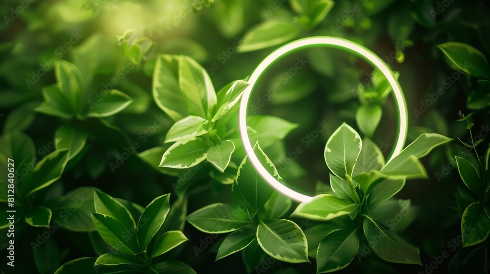Poster beautiful and fresh green leaves with circle neon light creative nature background image for seasona
