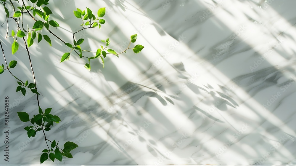 Poster spring sunlight in green branch of tree with shadow on white marble tile wall wood table copy space 
