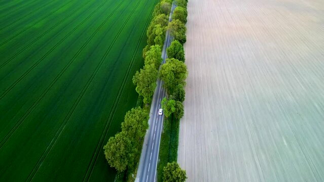 Aerial view of road through fields, one side lush grass, other side prepared for sowing. Drone shot captures rural landscape.